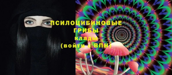герыч Алзамай