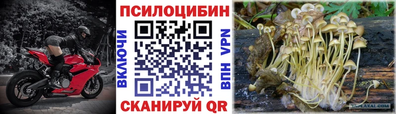 Псилоцибиновые грибы мухоморы  Бирюч 