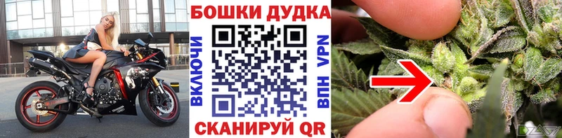 хочу наркоту  Бирюч  Конопля OG Kush 